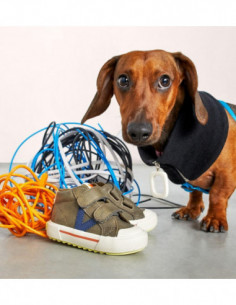 Victoria botín 065185 2