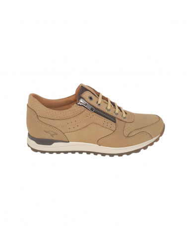 Kangaroos 558-17