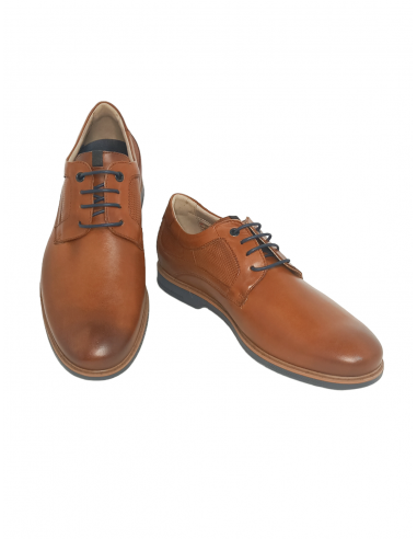 Fluchos TRISTAN F1744