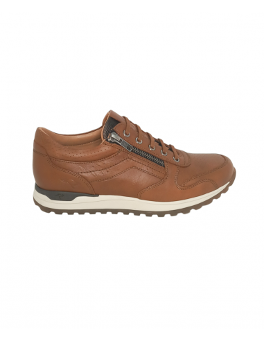 Kangaroos 558-23