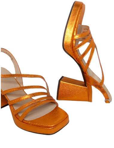 WONDERS M-5310 GARLI