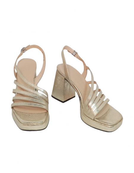 WONDERS M-5310 GARLI