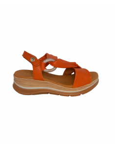 Paula Urban 24-656 2