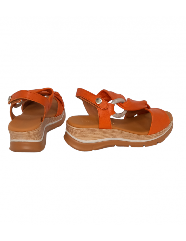 Paula Urban 24-656