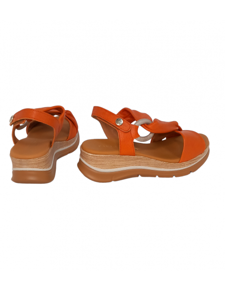 Paula Urban 24-656