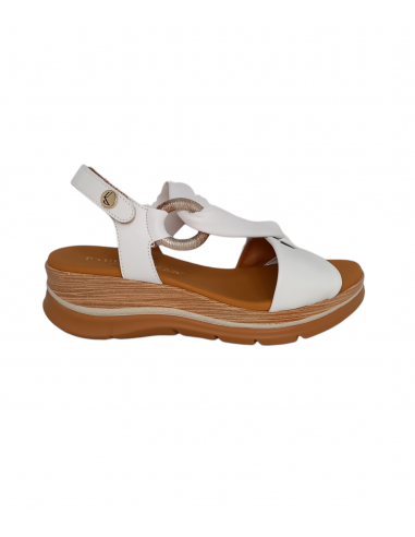 Paula Urban 24-656