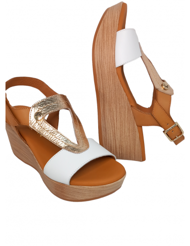 Paula Urban 31-621 BANGLA