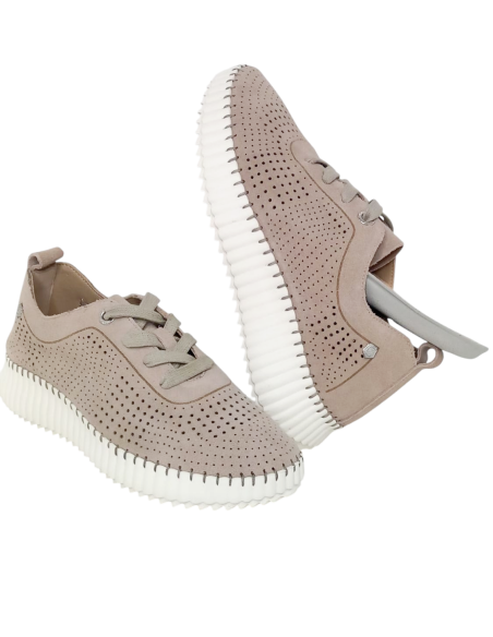 Carmela zapato 162325