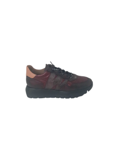 Wonders zapato A-2491 ODISEI 91 2