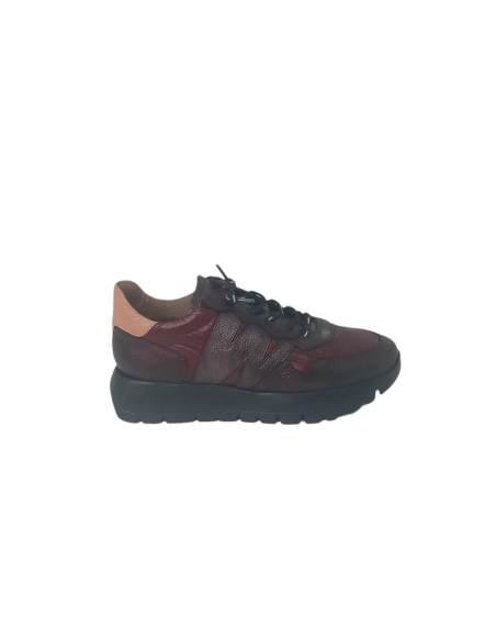 Wonders zapato A-2491 ODISEI 91
