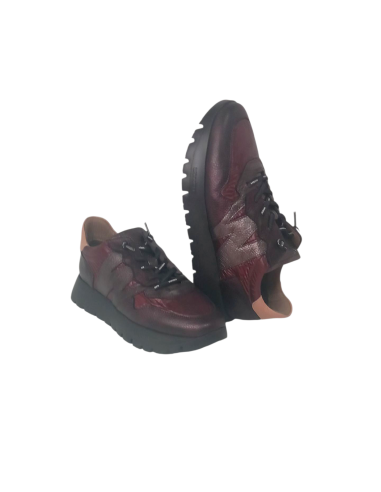 Wonders zapato A-2491 ODISEI 91