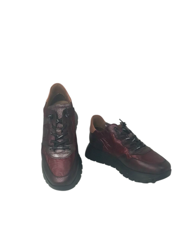 Wonders zapato A-2491 ODISEI 91