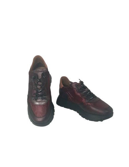Wonders zapato A-2491 ODISEI 91