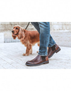 Pikolinos botín M2M-8016 YORK