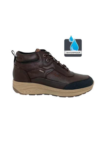 FLUCHOS botín LANDER F2295