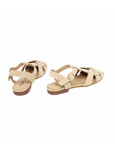 TOP 3 Project Zapato 1541