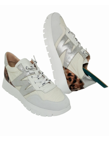 WONDERS deportivo ODISEI A-24100