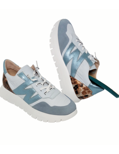 WONDERS deportivo ODISEI A-24100