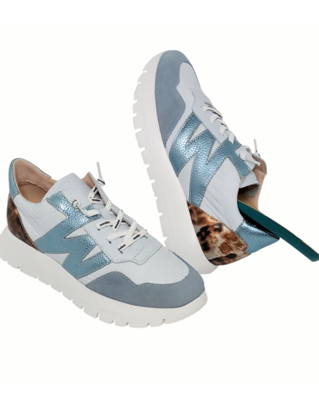 WONDERS deportivo ODISEI A-24100