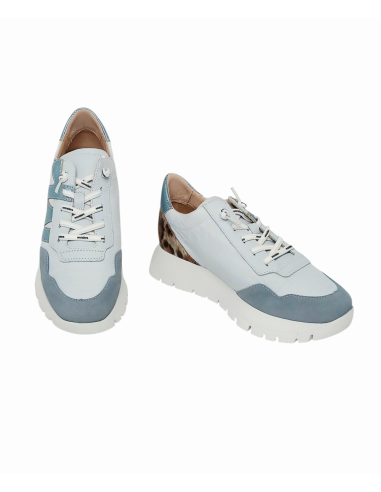 WONDERS deportivo ODISEI A-24100