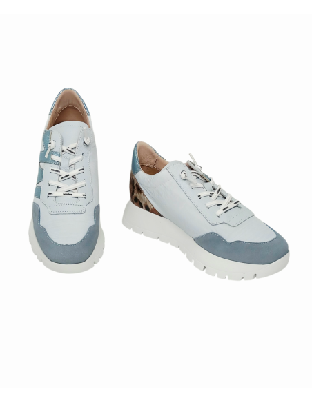 WONDERS deportivo ODISEI A-24100