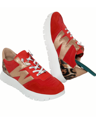 WONDERS deportivo ODISEI A-24100