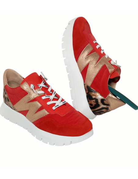 WONDERS deportivo ODISEI A-24100