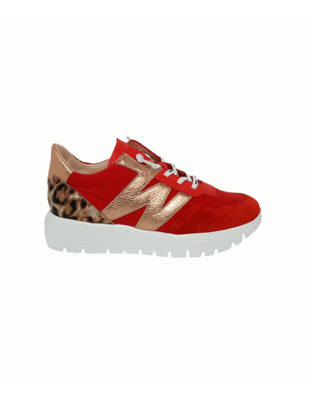 WONDERS deportivo ODISEI A-24100