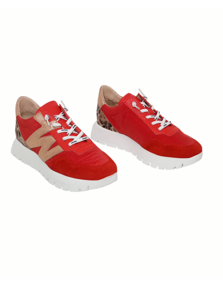 WONDERS deportivo ODISEI A-24100