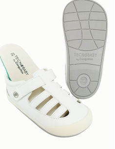 CONGUITOS TESH516022 Respetuosa 2