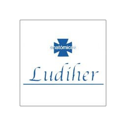 Ludiher