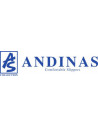 Andinas